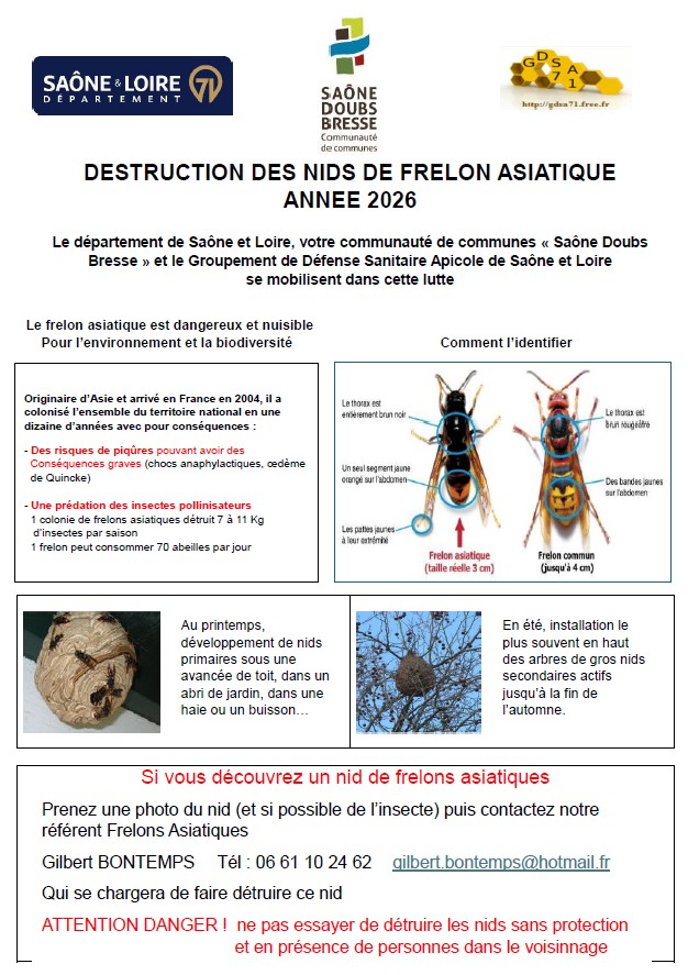 affiche frelons